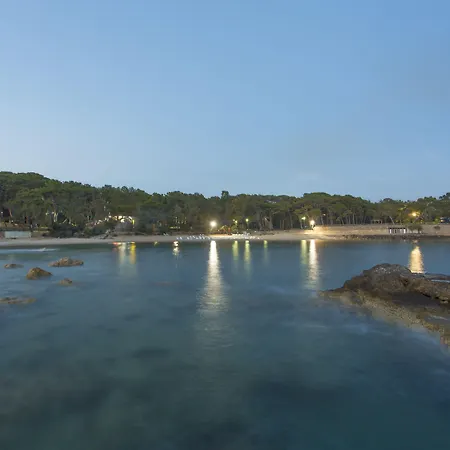 Modern Saraylar Авсаллар