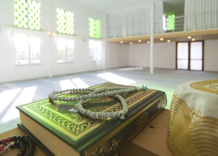 Modern Saraylar Avsallar