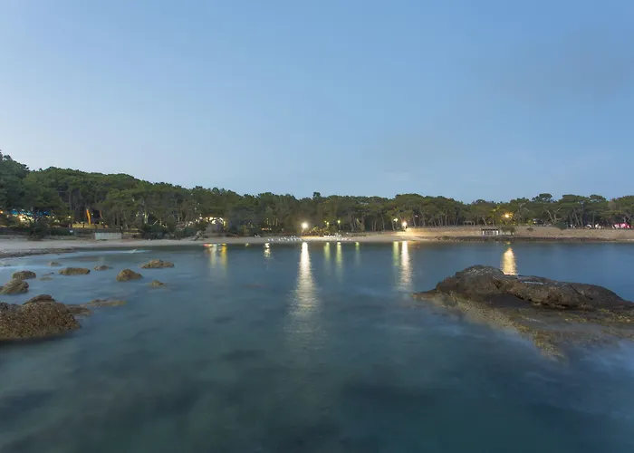 Modern Saraylar Avsallar