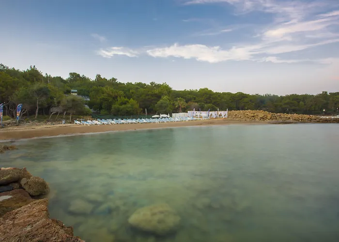 Hotel Modern Saraylar Avsallar